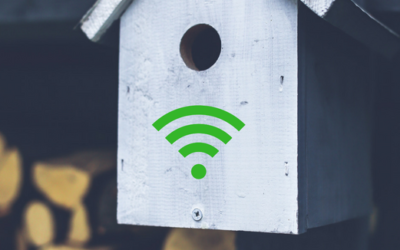 Birdhouses in Amsterdam offer free Wi-Fi for clean air